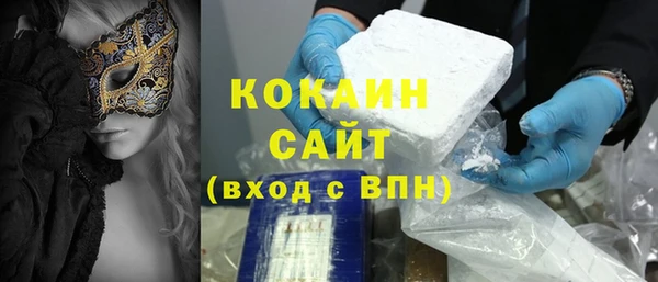 прущий лед Алзамай