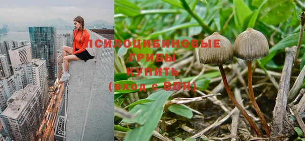спиды Абинск