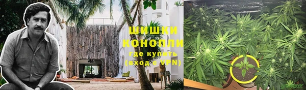 прущий лед Алзамай