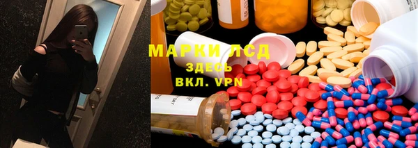 шишки Ельня