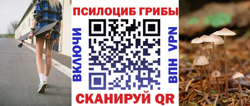 Псилоцибиновые грибы Psilocybe  что такое наркотик  Шилка 